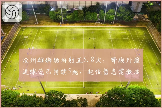 沧州雄狮场均射正5.8次，锋线外援进球荒已持续5轮，赵俊哲急需激活攻击群
