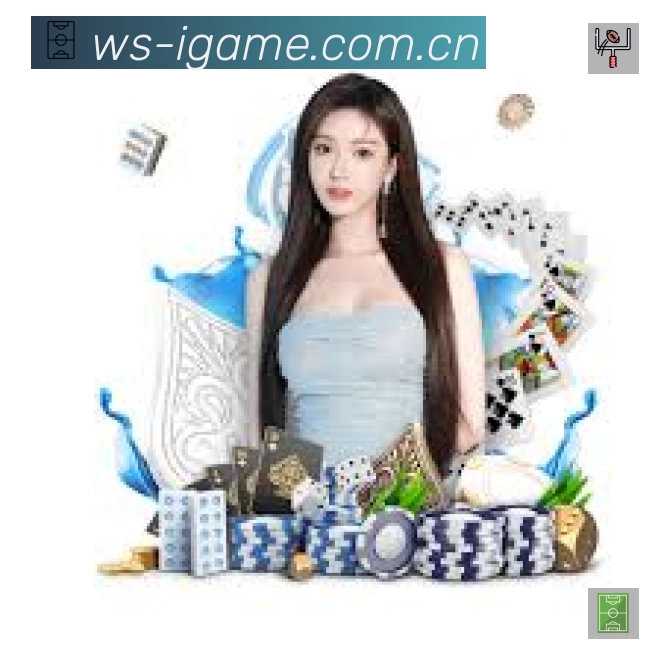 安全使用与支持流程
